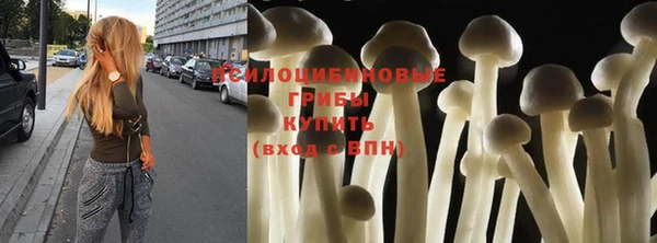 ешки Алексин
