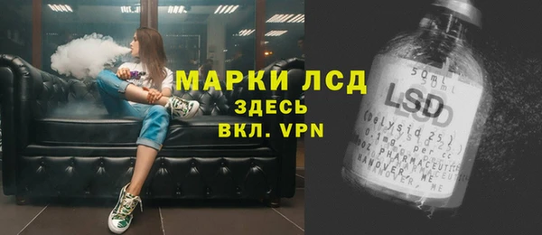 гашик Дедовск