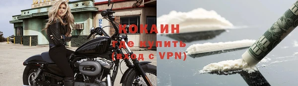 МДПВ Алзамай