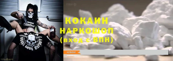 ешки Алексин