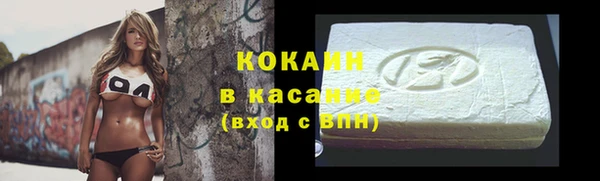 ешки Алексин