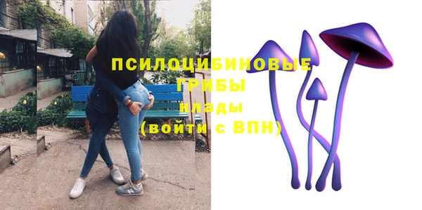 ешки Алексин