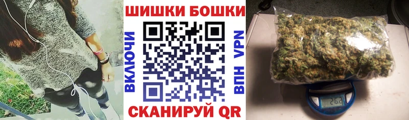 где купить наркоту  Стародуб  Шишки марихуана план 